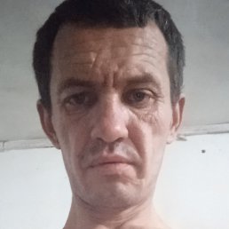 ������, �������, 43 ����