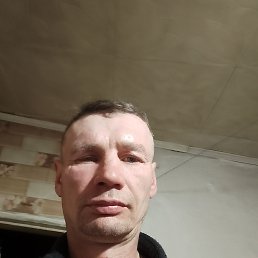 ���� ������, ������������, 48 ��� - ��������� 29 ������ 2026