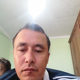 , 33, 