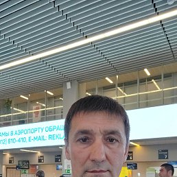 �����, 42 ����, �����������