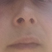 ������, 41 ���, ���������