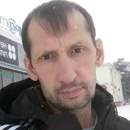 �������, �������, 49 ���