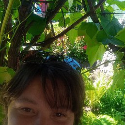 �����, ������-��-����, 41 ���