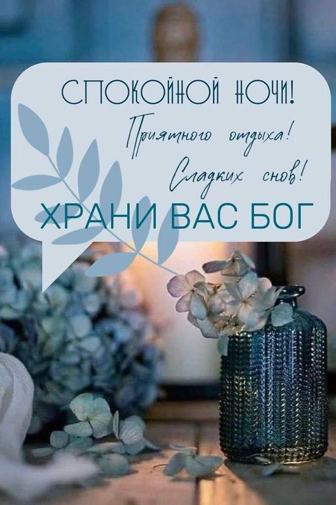   ,    . - 24  2025  21:58 - 2