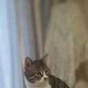 ���� ���������, ����, 51 ��� - ��������� 14 ������ 2025 � ������ ������ ��������