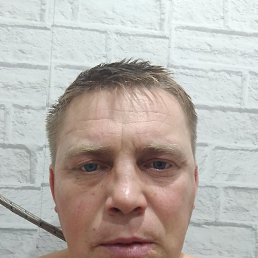 ����, 39 ���, �������