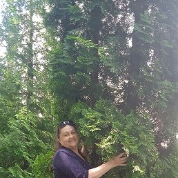 ������, ������, 65 ���