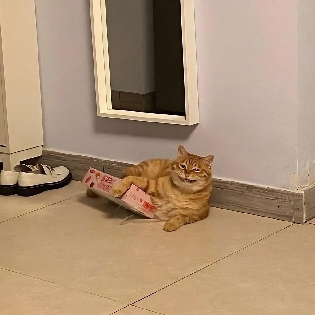 Когда купил себе однушку, живешь в ней и радуешься - 5