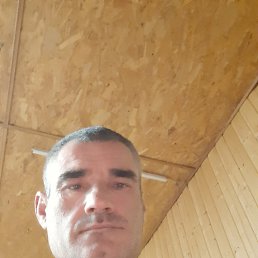 Tolea, 47, 