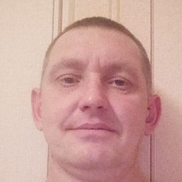 �������, ���������, 46 ���