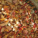 ���� ������, ������-��-���� - ��������� 21 ������ 2023 � ������ ������ ��������