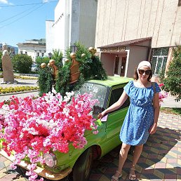 , 29, 