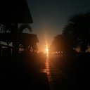 ���� �����, �������, 43 ���� - ��������� 29 ������ 2023 � ������ ���� ����������