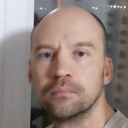 �������, ����, 41 ���