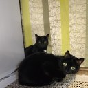 ���� ���������, ������, 41 ��� - ��������� 17 ������ 2025 � ������ ������ ��������