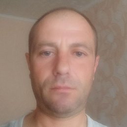 ����, �����, 42 ����