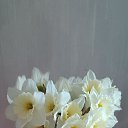 ���� ���������, �����������, 60 ��� - ��������� 21 ������ 2024 � ������ ���� ����������