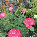 ���� ������, ������� - ��������� 19 ������� 2024