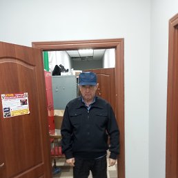 ����� �, 49 ���, ���������