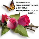 ���� ����, ���������, 62 ���� - ��������� 4 ������ 2026 � ������ ���� ����������