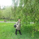 ���� ����, ������, 55 ��� - ��������� 6 ���� 2024 � ������ ���� ����������