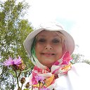  ,  -  28  2025    -    ,      .