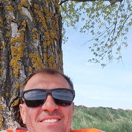 ������� ��������, ����������, 43 ����