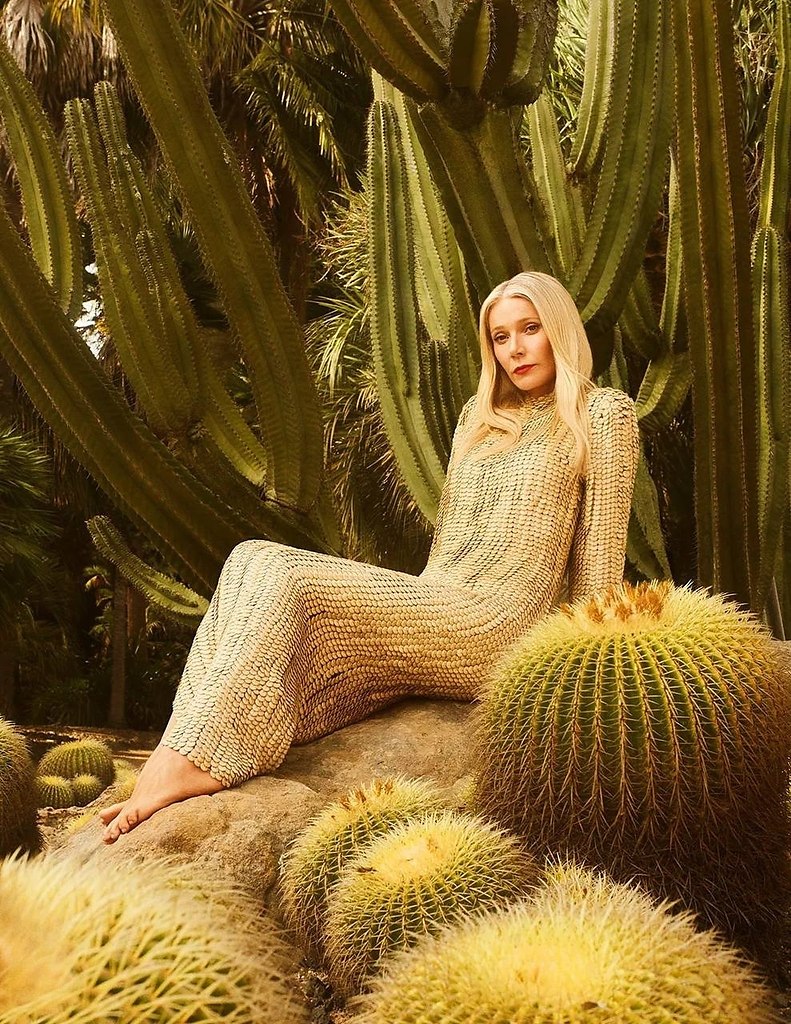 ������ ������� ��� THR