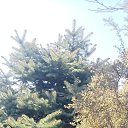 ���� �����, ����������, 48 ��� - ��������� 19 ������ 2025