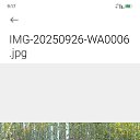 ���� �����, ����, 47 ��� - ��������� 27 ������� 2025 � ������ ���� ����������