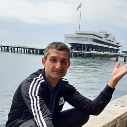 , 40, 