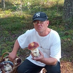 �����, �����-���������, 52 ����