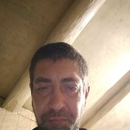 , 42, 