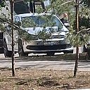 ���� ����, ���������, 48 ��� - ��������� 20 ���� 2026 � ������ ���� ����������