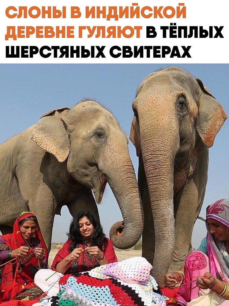 � ��������� ������� ����� ������ � ����� ��������� ��������, ������� ��� ��� ������� ������� ������. ...