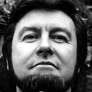 ������, 41 ���, ������