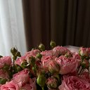 ���� �����, ������ ��������, 42 ���� - ��������� 19 ������ 2025 � ������ ���� ����������