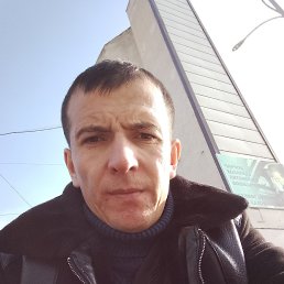 ����, 29 ���, ������