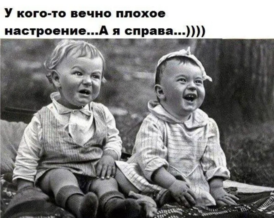 *T���* - 28 ���� 2026 � 19:42