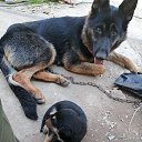 ���� ������, �����������, 46 ��� - ��������� 4 ���� 2024 � ������ ���� ����������