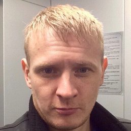 ����, 41 ���, ��������