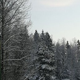 ������, �����-���������, 59 ���