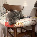 ���� �������, ���� - ��������� 17 ��� 2026 � ������ ���� ����������