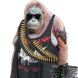 �����, �������, 85 ���