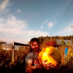 ���� �������, ������, 39 ��� - ��������� 9 ������� 2026