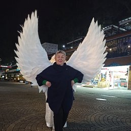 ���� �������, ����������, 78 ��� - ��������� 19 ������ 2024