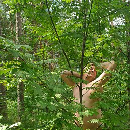 ���� ������, ���������, 44 ���� - ��������� 3 ������ 2026