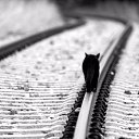 ���� A, ������������, 46 ��� - ��������� 3 ������� 2025 � ������ ���� ����������