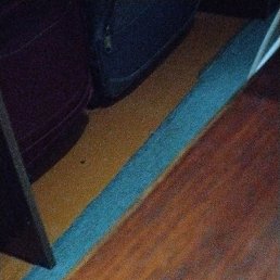 ���� ���������, ���������, 45 ��� - ��������� 28 ������ 2023