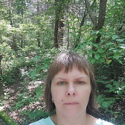 ����, 38 ���, �����������